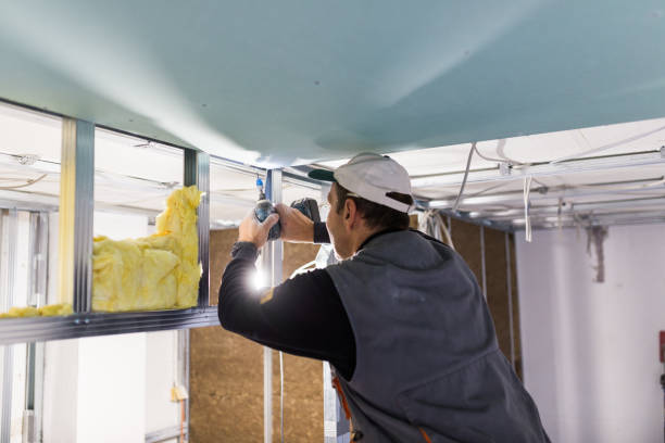 Best Spray Foam Insulation  in Emory, VA