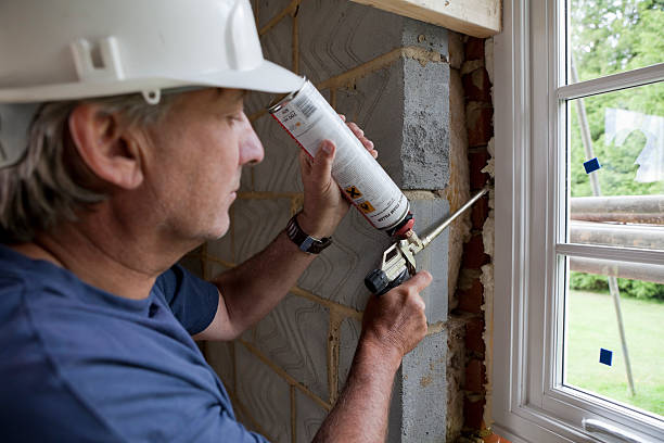 Best Insulation Inspection Services  in Emory, VA